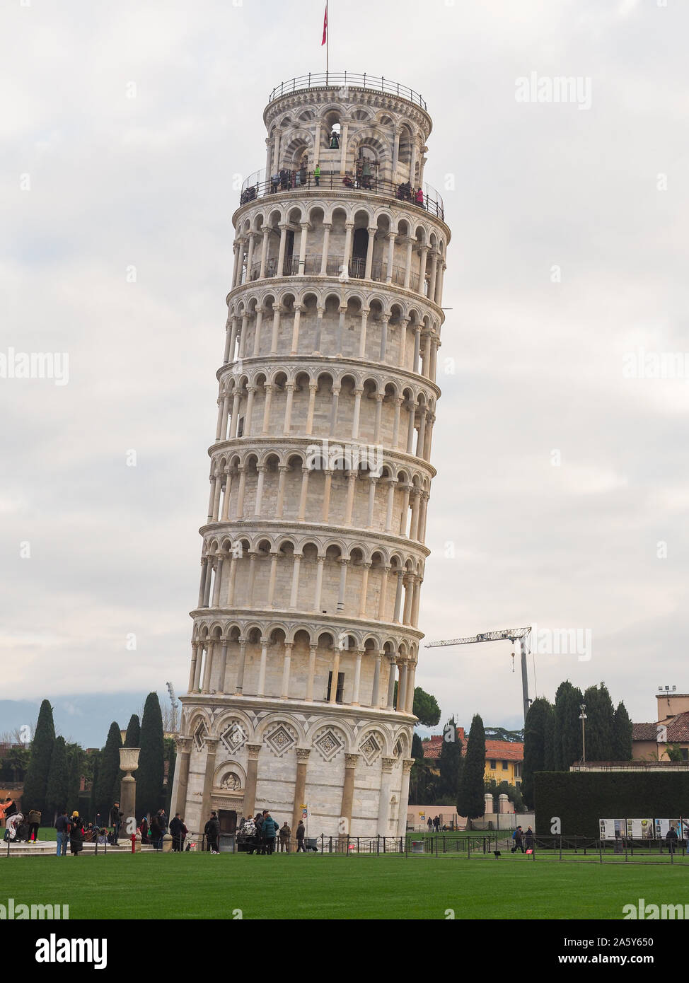 Unique, célèbre tour penchée de Pise, Close up. Célèbre Torre Pendente di  Pisa est beau campanile clocher autoportant ou sur la Piazza dei Miracoli  Photo Stock - Alamy