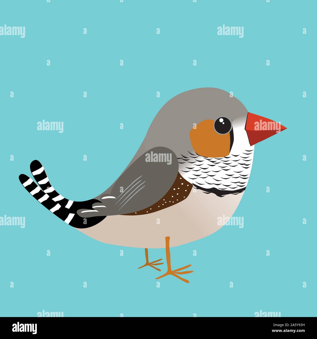 Une illustration d'un homme mignon zebra finch Illustration de Vecteur