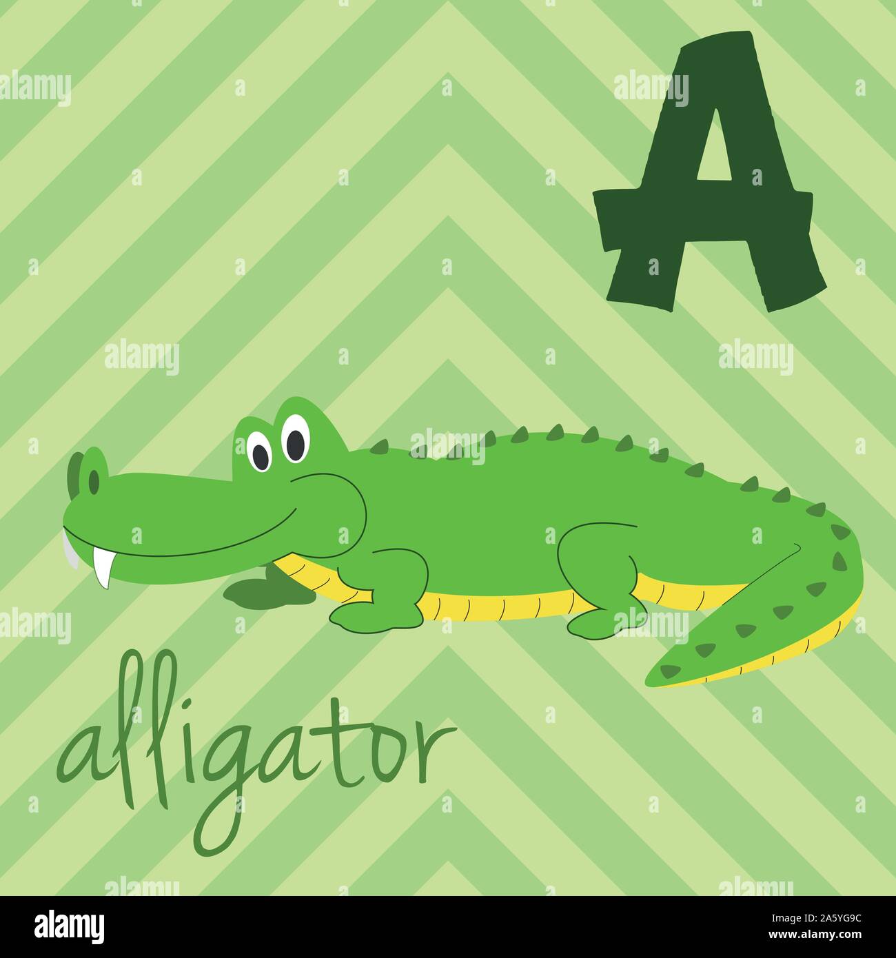 Zoo Cute cartoon alphabet illustré avec funny animals : A pour l'Alligator. Alphabet anglais. Apprendre à lire. Vector illustration isolé. Illustration de Vecteur