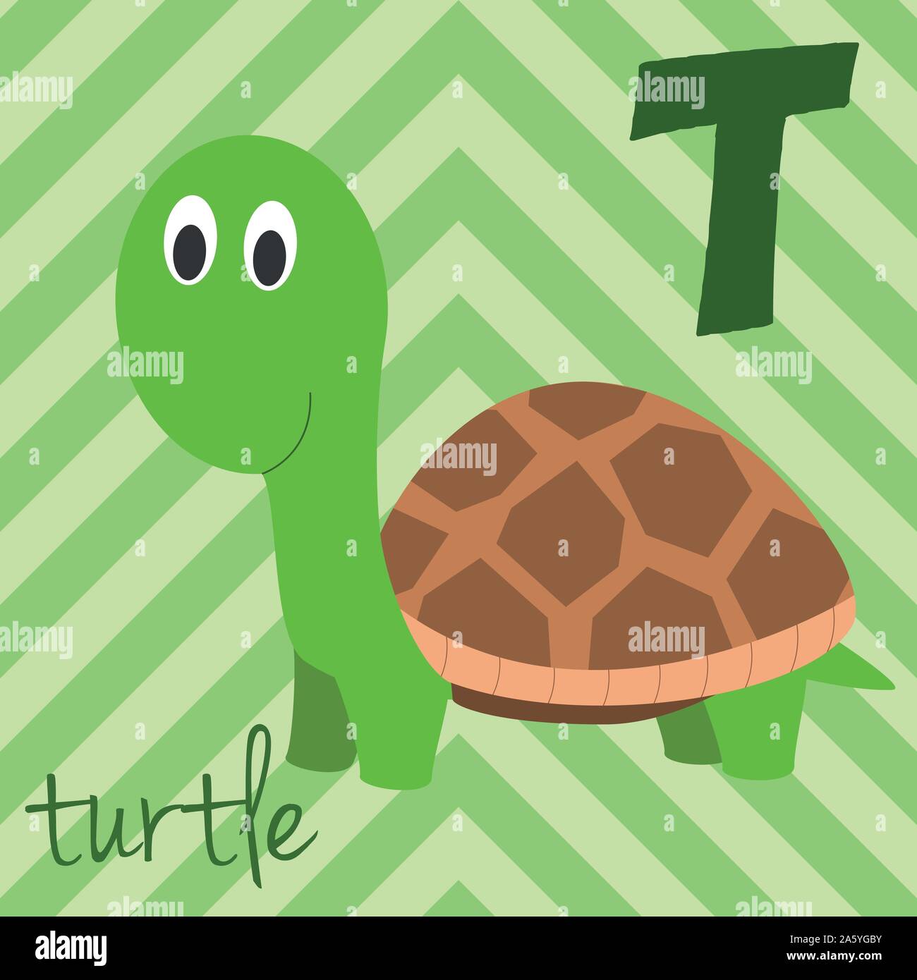 Cute cartoon alphabet illustré zoo avec animaux drôles : T pour tortue. Alphabet anglais. Apprendre à lire. Vector illustration isolé. Illustration de Vecteur