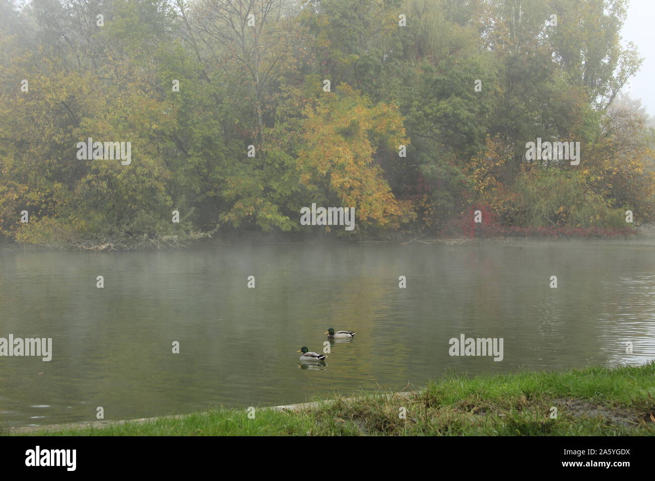 La fin de l'automne sur un lac d'une beauté extraordinaire Banque D'Images