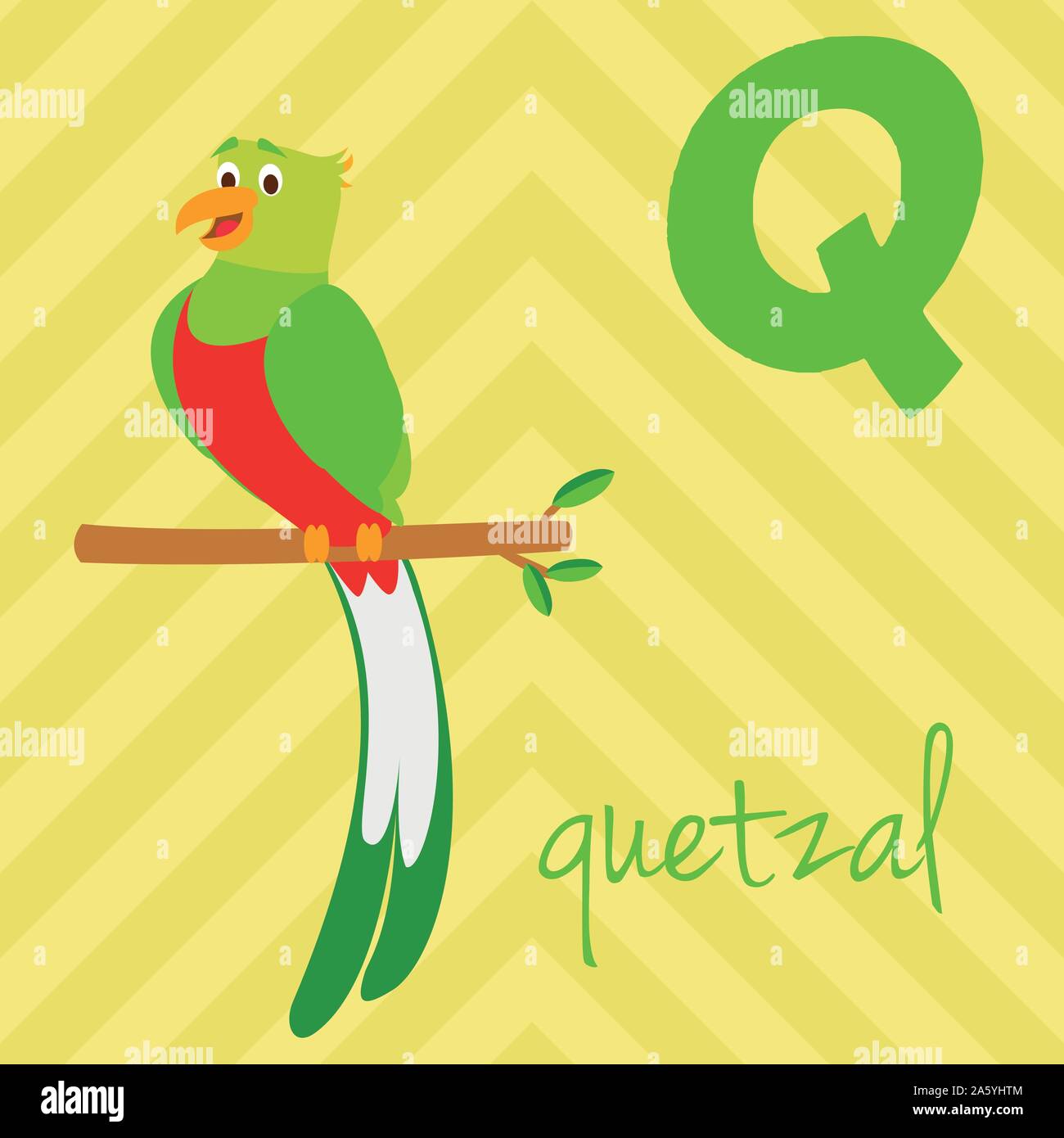 Mots Commencant Par Q En Espagnol Cute cartoon alphabet illustré zoo avec animaux drôles. L'alphabet espagnol  : Q de Quetzal. Apprendre à lire. Vector illustration isolé Image  Vectorielle Stock - Alamy