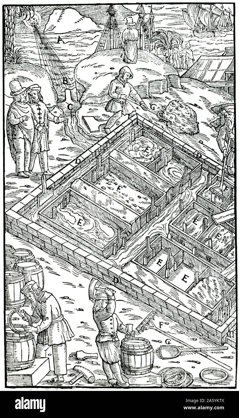 La production de sel par évaporation de l'eau de mer dans les marais salants. En premier plan le sel est d'être emballés dans des barils prêts pour le transport. 'De Agricola De re metallica", Bâle, 1556. Gravure sur bois Banque D'Images