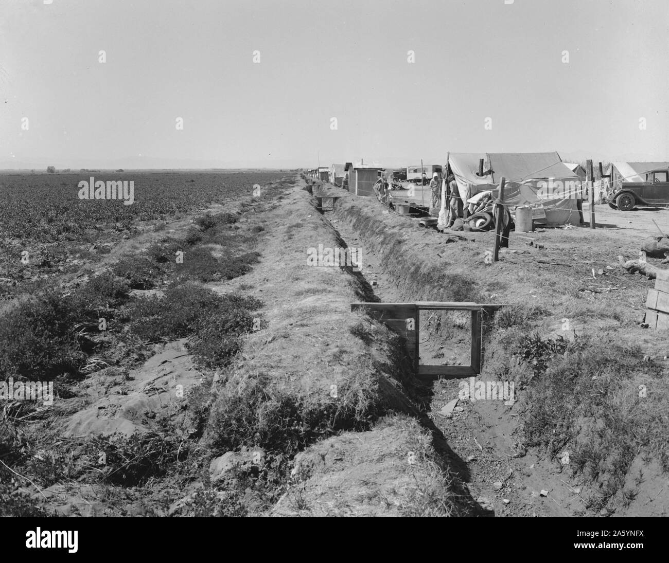 Quarante familles de réfugiés de la sécheresse et de la dépression de la route ont campé à côté d'un champ de pois irrigué. Un gel qui a détruit la récolte de pois se jeta presque chaque famille dans ce camp sur les secours d'urgence. Calipatria, California. 1937 Banque D'Images