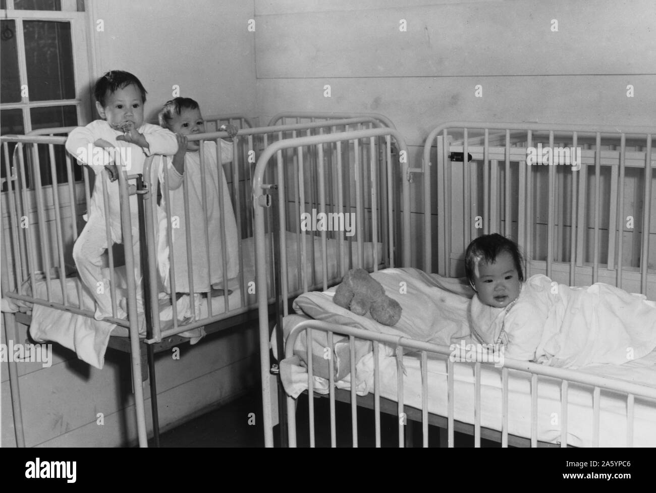 Photo de deux American-Japanese les bébés dans un orphelinat. Photographié par Ansel Adams (1902-1984) Photographe américain et écologiste. Datée 1943 Banque D'Images