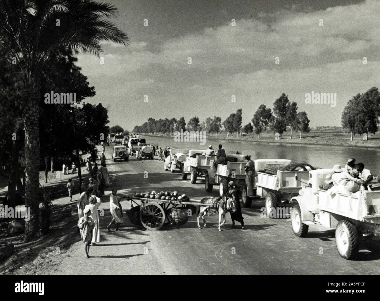 Photographie d'aller de l'avant des véhicules militaires à la bataille dans les domaines de l'Egypte au cours de la Seconde Guerre mondiale. Datée 1942 Banque D'Images