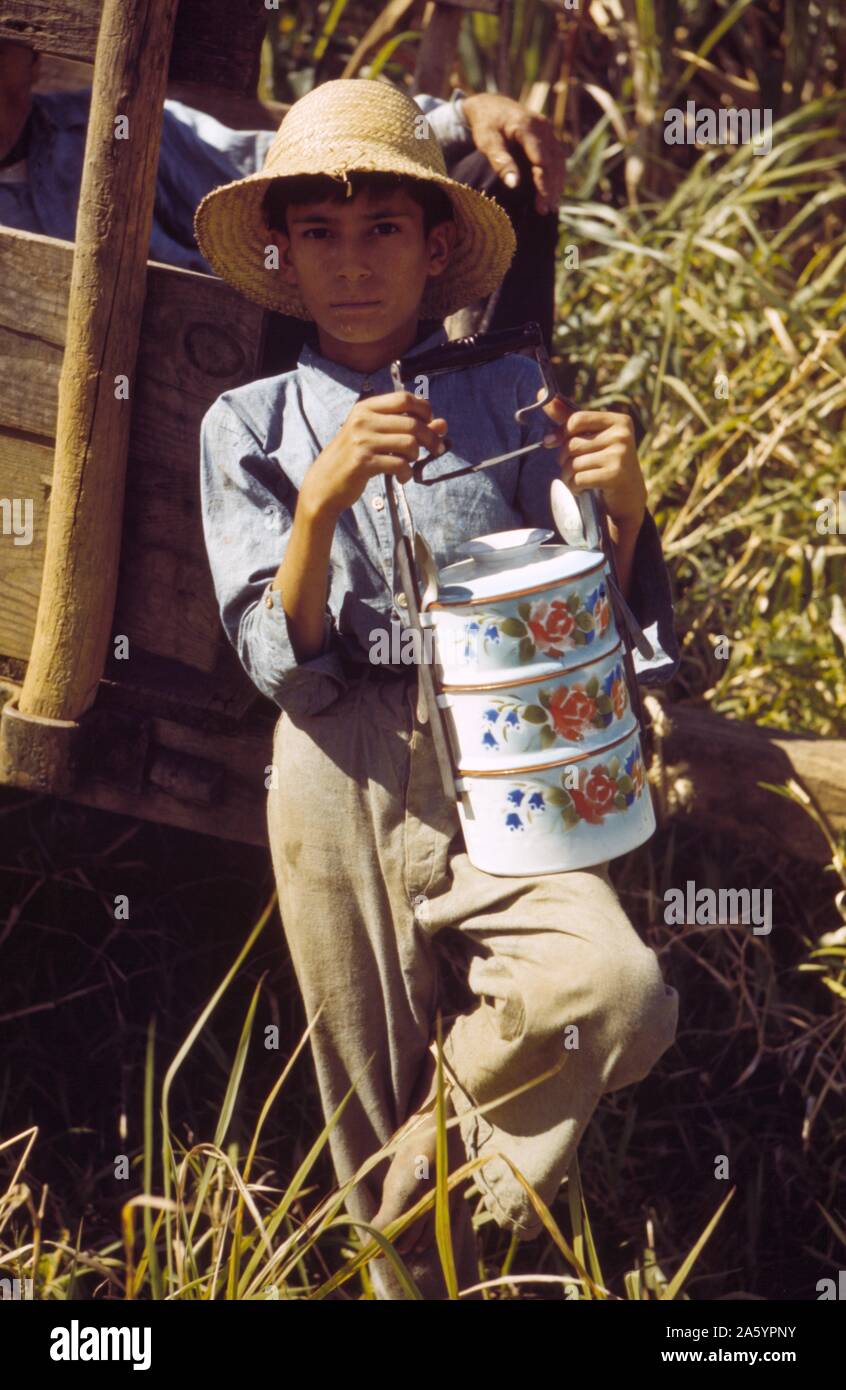 Fils d'un des agriculteurs de la FSA sur le projet Rio Piedras qui a apporté le déjeuner à son père, travaillant dans le domaine de la canne à sucre, aux environs de Rio Piedras, Puerto Rico. Photographe Jack Delano (1914-1997). Janvier 1942. Banque D'Images