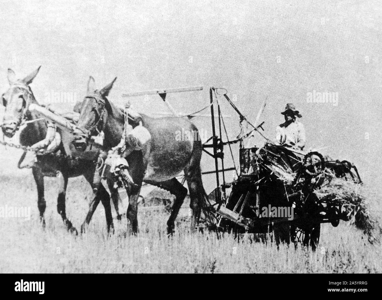 Les travailleurs agricoles espagnols dans la campagne en 1936 Banque D'Images