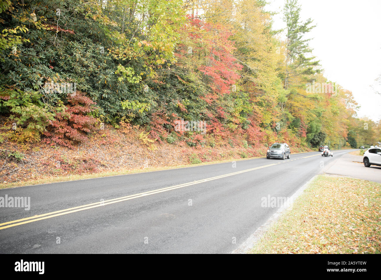 Couleurs d'automne au Blue-ridge Park Way North Carolina Banque D'Images