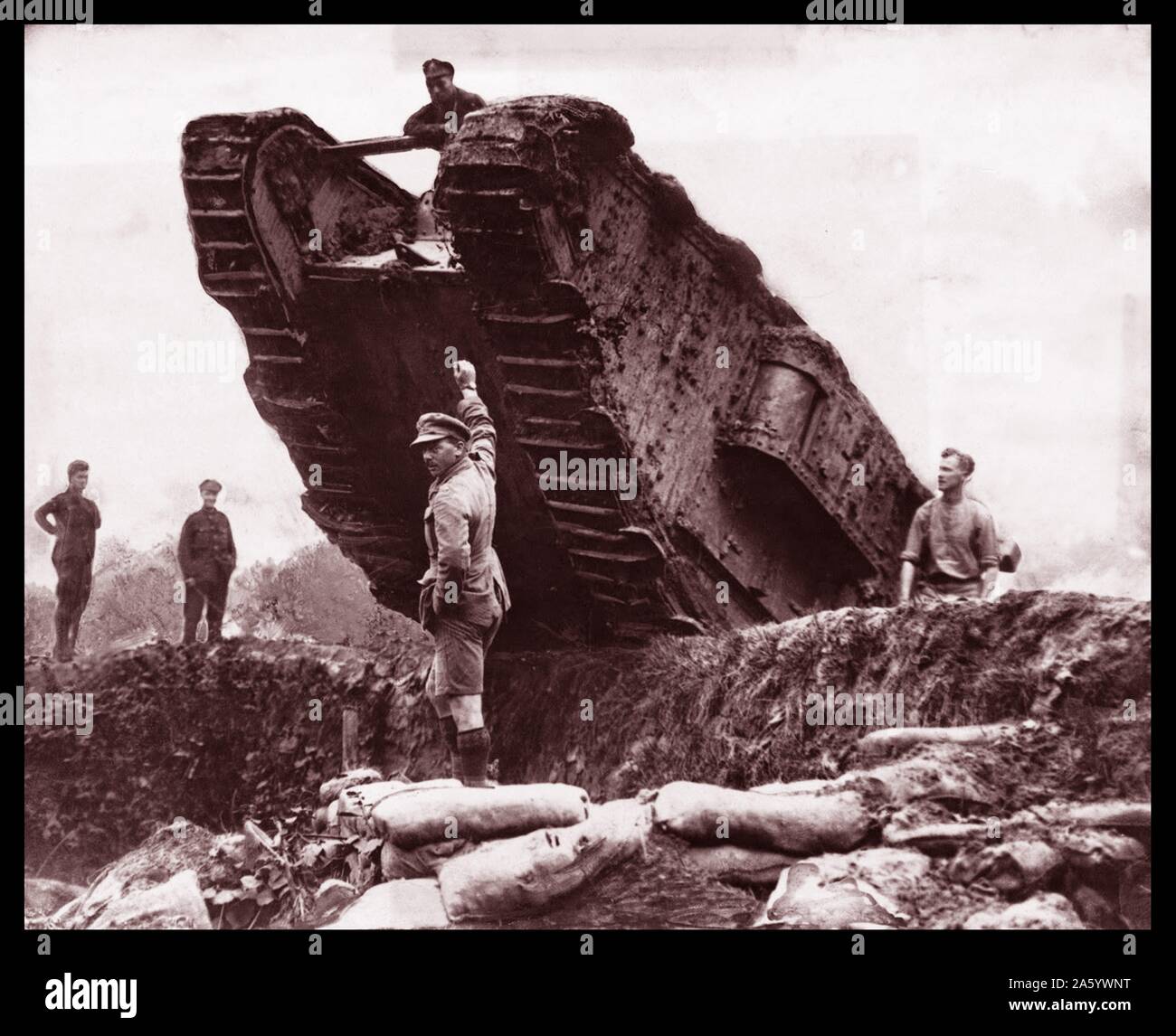 Une guerre BritishWorld, réservoirs, dans les tranchées de la bataille de Cambrai, France 1917 Banque D'Images