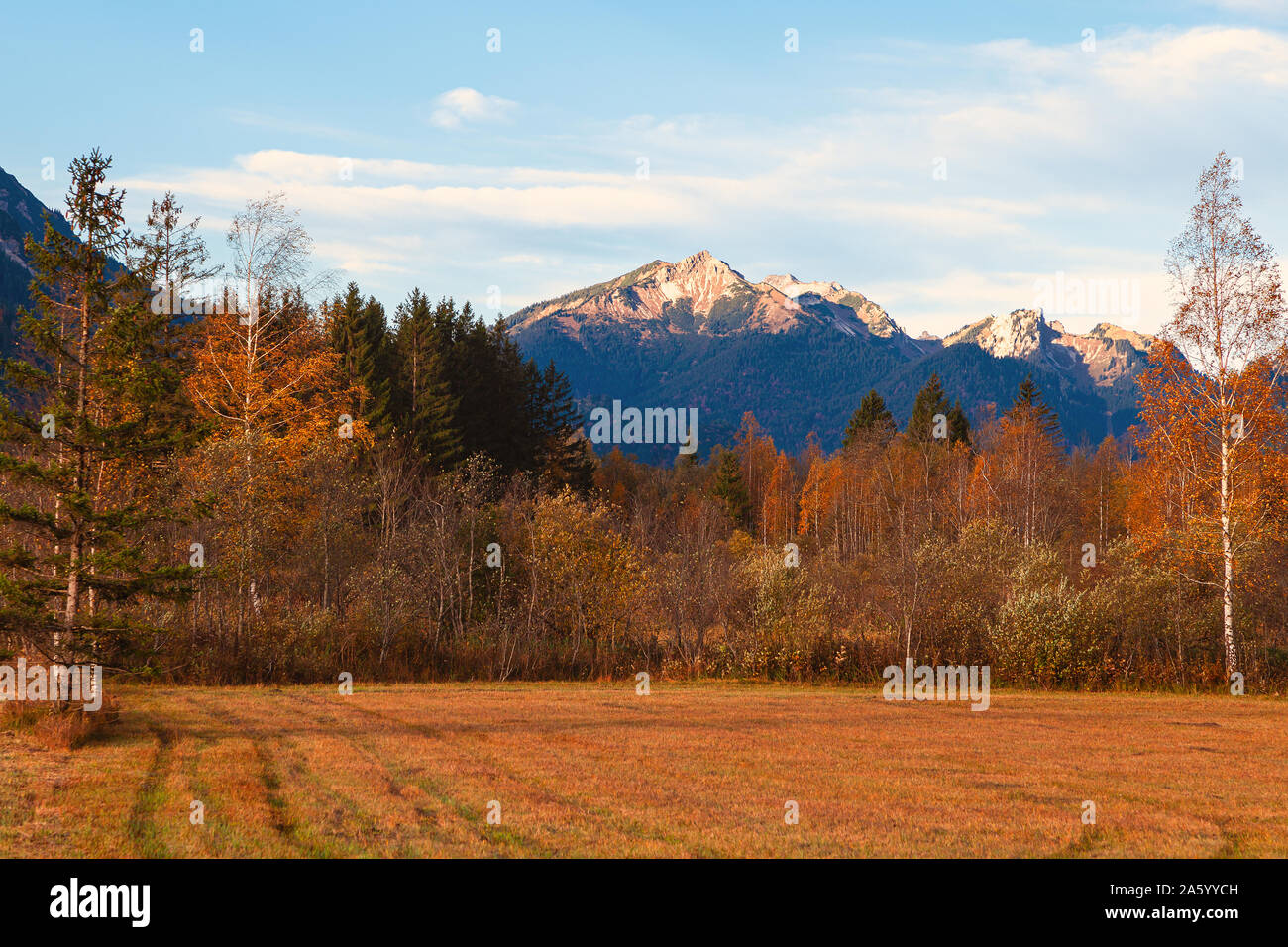 Dans les Alpes de la forêt dans une vallée sur un jour d'automne en octobre en Bavière Banque D'Images