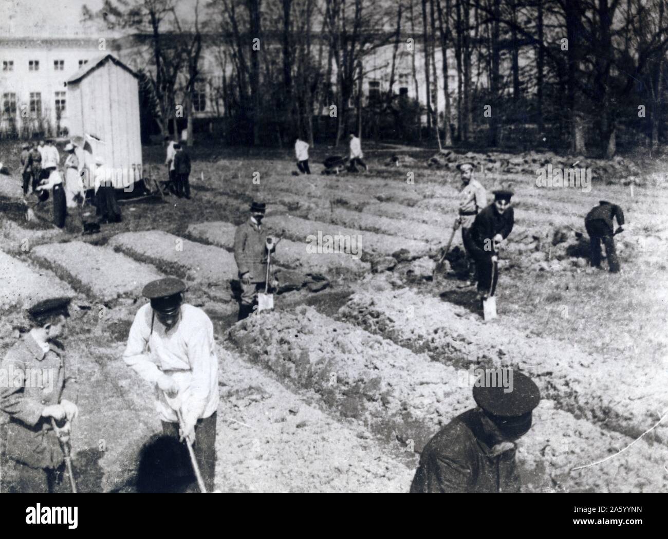 Photographie de la fin du Tsar et de sa famille qui travaillent dans le jardin. Datée 1917 Banque D'Images