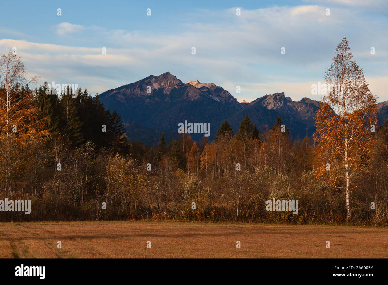 Dans les Alpes de la forêt dans une vallée sur un jour d'automne en octobre en Bavière Banque D'Images