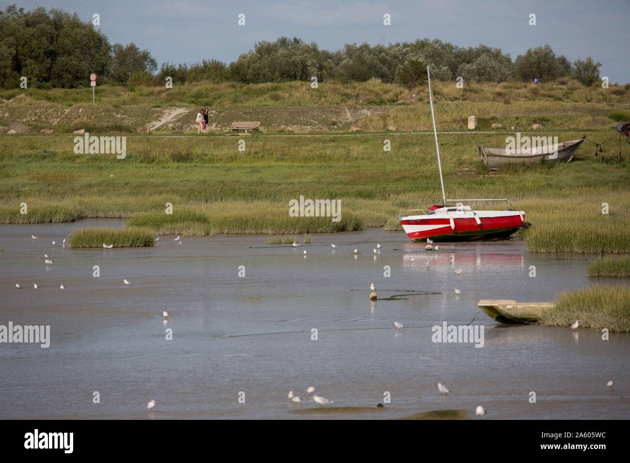 France, Picardie, Baie de Somme, Le Crotoy, Canal de la Maye, marina Banque D'Images