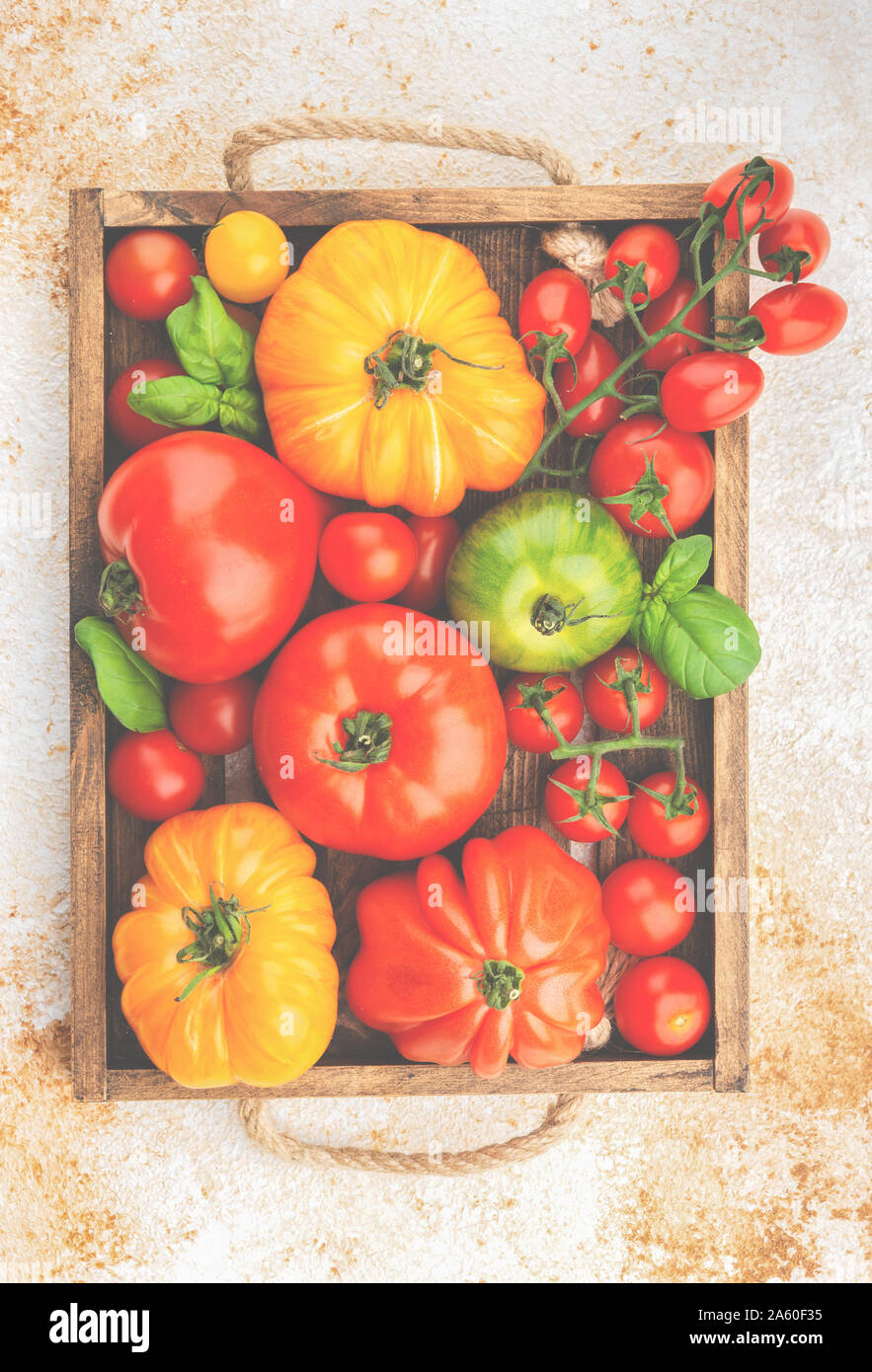 Grosses petites tomates en boîte Banque D'Images