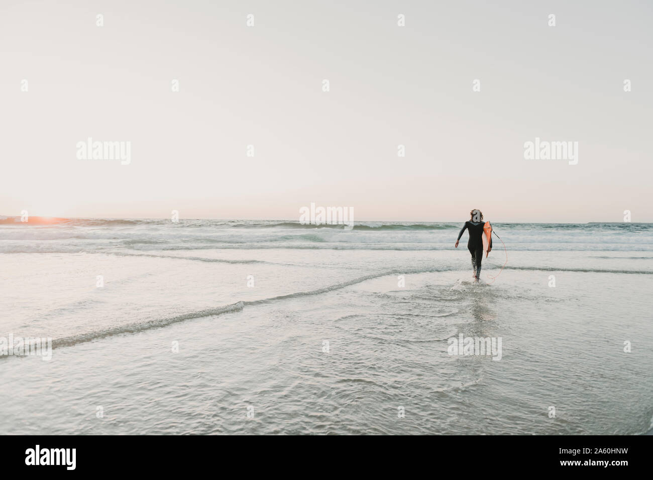 Vue arrière de l'exécution de surfeur sur la plage au coucher du soleil, Costa Nova, Portugal Banque D'Images