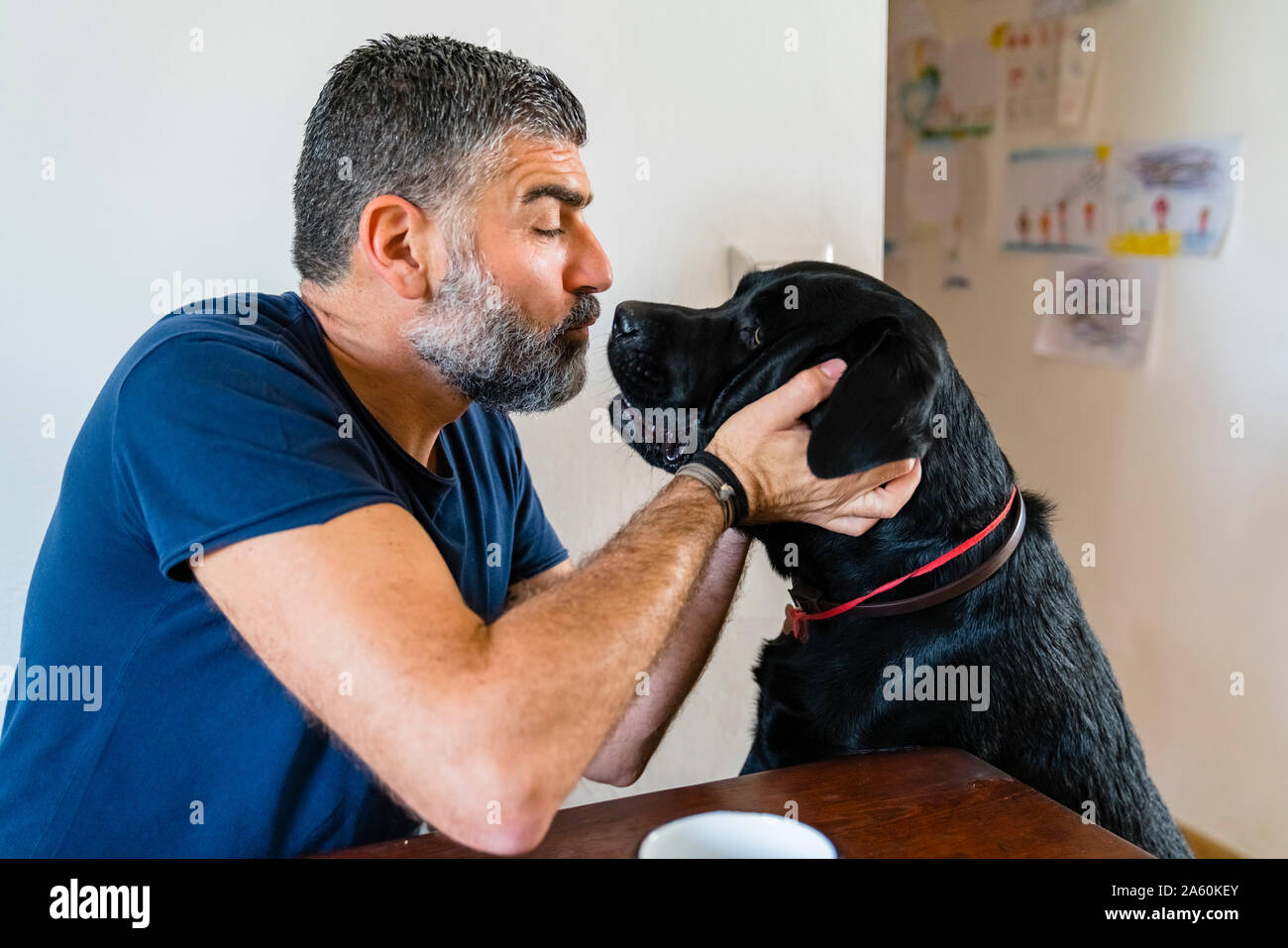 Man Playing with dog at table at home Banque D'Images