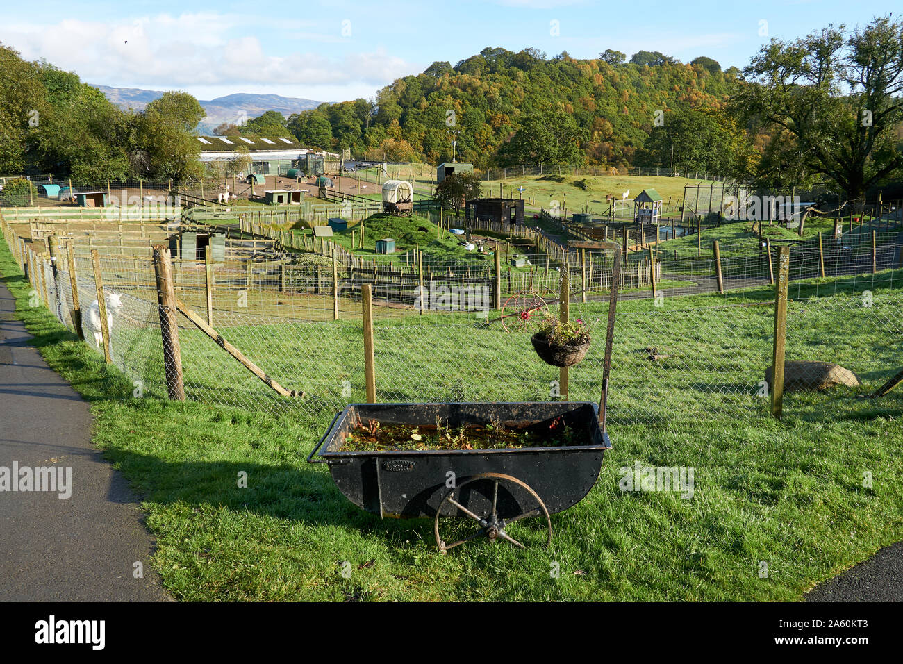 Vue générale de la Auchingarrich Wildlife Centre dans le Perthshire, à proximité d'un village de Comrie, Ecosse Banque D'Images