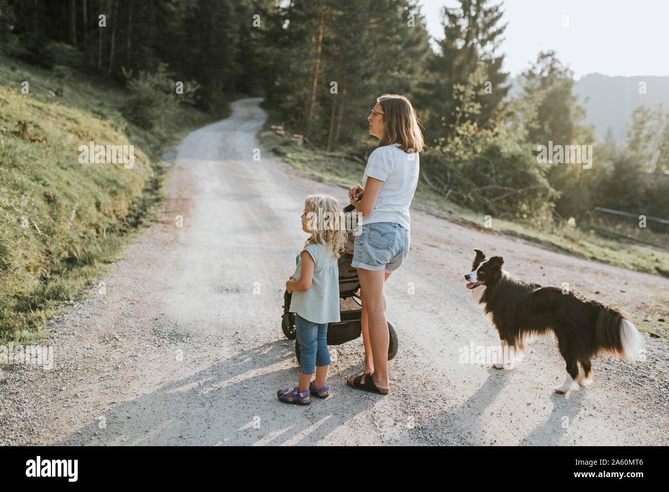 Mère et sa fille, une poussette et le chien debout sur chemin forestier Banque D'Images