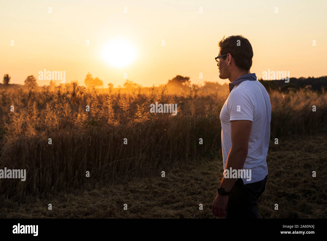 Agriculteur biologique à plus de champ de blé au coucher du soleil Banque D'Images