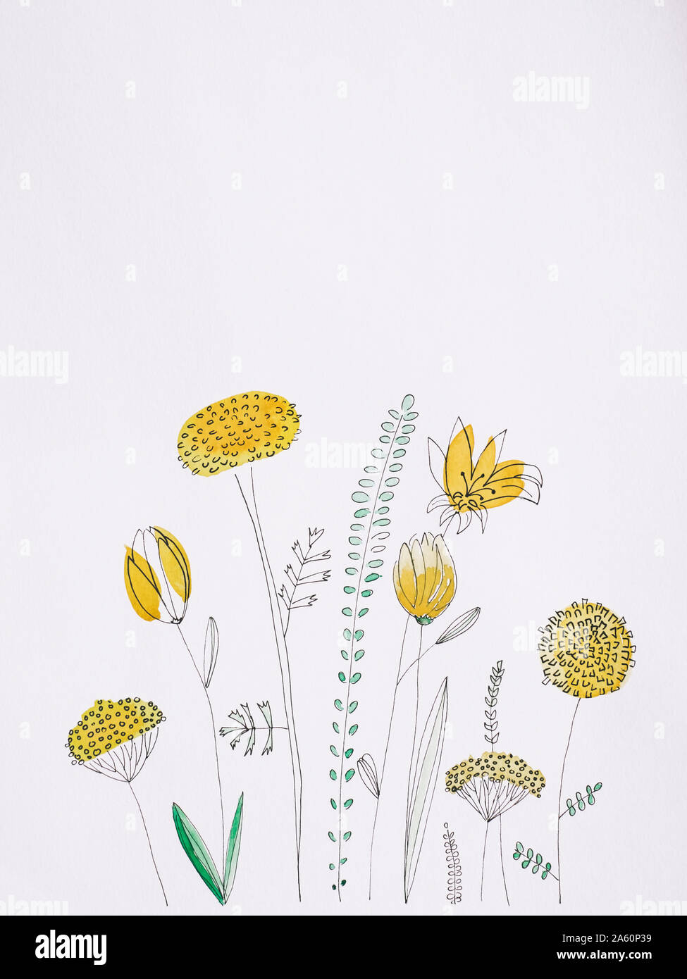 Fleurs jaunes de l'aquarelle sur fond blanc Banque D'Images