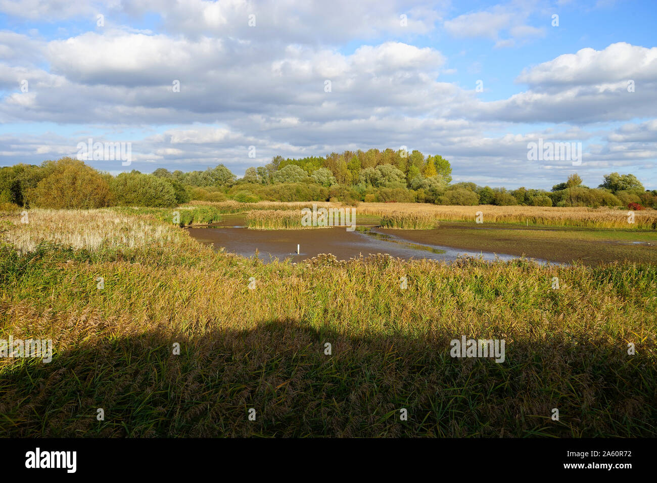 Lac asséché à l'RSPB réserve naturelle des zones humides Fowlmere Banque D'Images