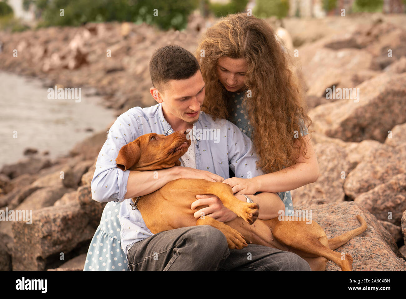 Jeune couple avec chien à la plage Banque D'Images