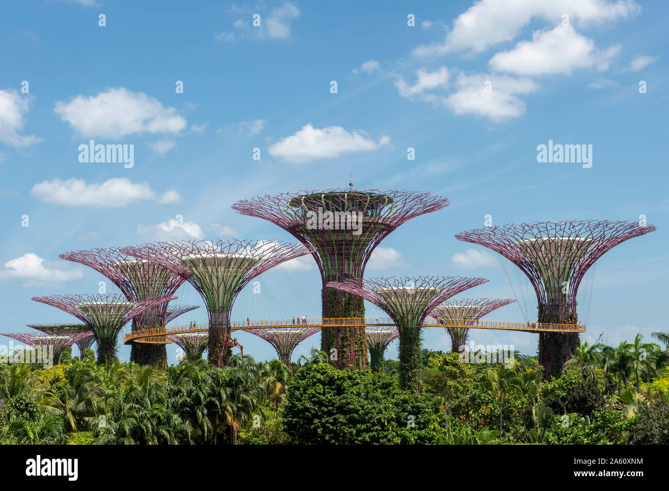 L'Supertrees de jardins au bord de la baie avec passage de haut niveau, à Singapour, en Asie du Sud-Est, l'Asie Banque D'Images