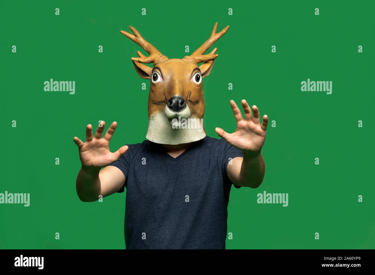 Jeune homme portant un masque de cerf élever les mains devant un arrière-plan vert Banque D'Images