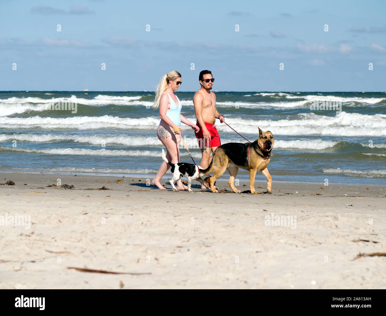 Un couple en costume de bain à pied leurs chiens sur un Port Aransas, Texas USA beach. Banque D'Images