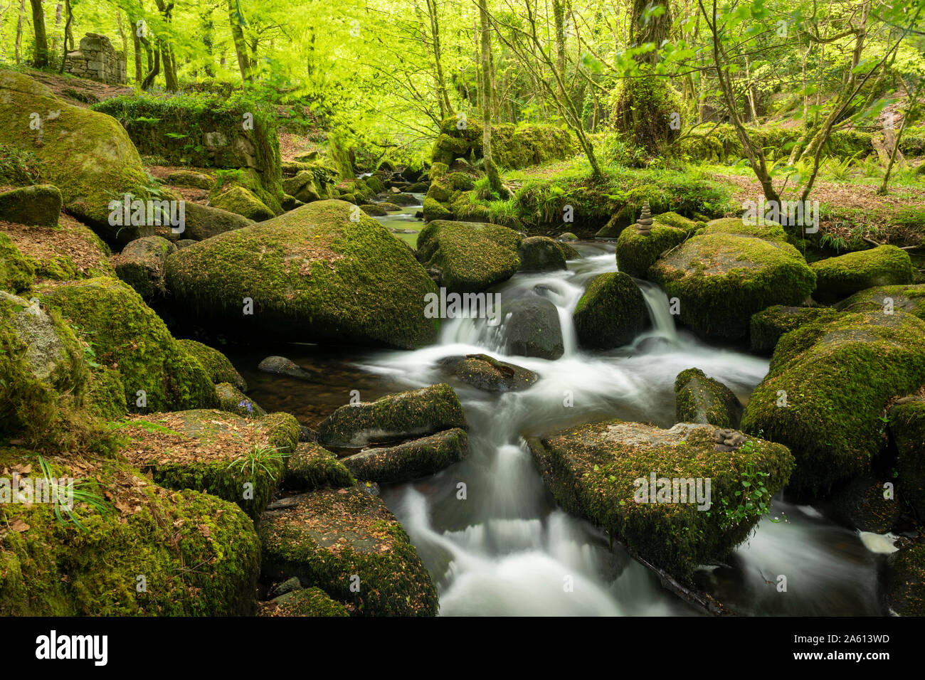 Kennall la rivière coulant entre les rochers couverts de mousse dans Ponsonooth Kennall à Vale, Cornwall, Angleterre, Royaume-Uni, Europe Banque D'Images