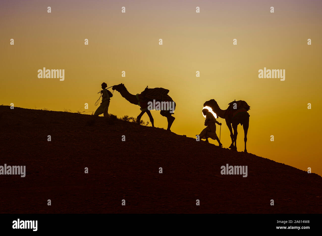 Deux hommes Rabari l'ascension d'une dune avec leurs dromadaires au coucher du soleil, le grand désert du Rann de Kutch, Gujarat, Inde, Asie Banque D'Images