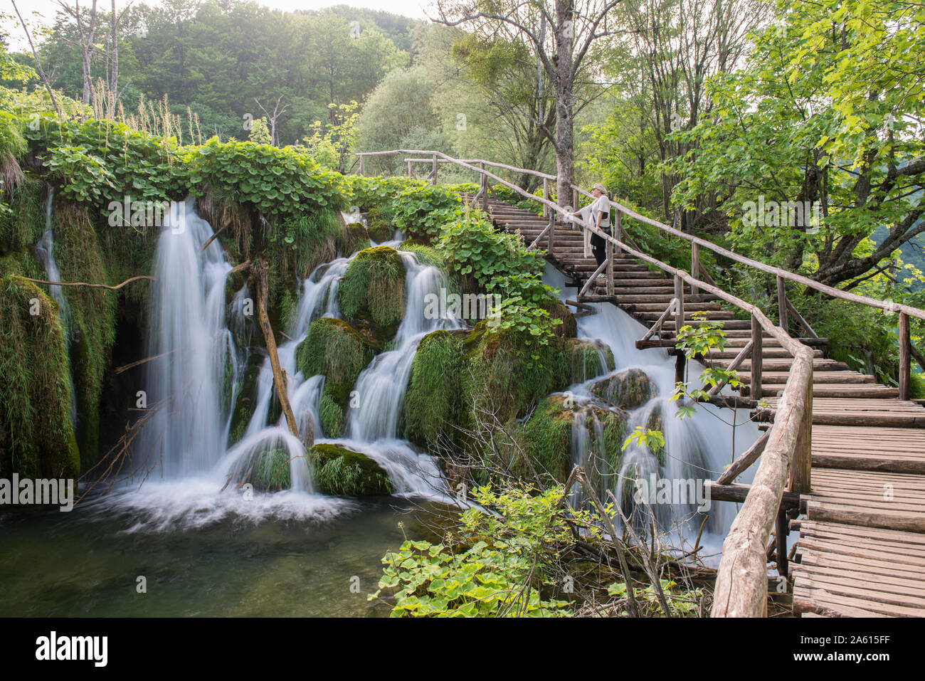 Le parc national des Lacs de Plitvice, classé au Patrimoine Mondial de l'UNESCO, la Croatie, l'Europe Banque D'Images