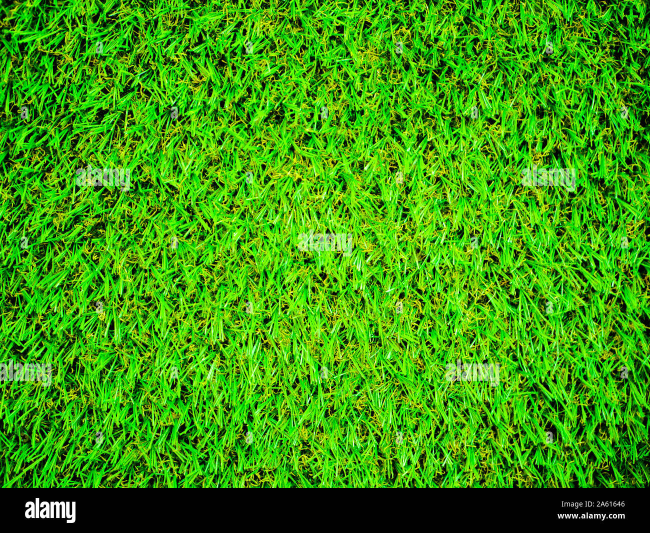 Pelouse verte lumineuse de près. Vue de dessus couleur vert acide. Banque D'Images