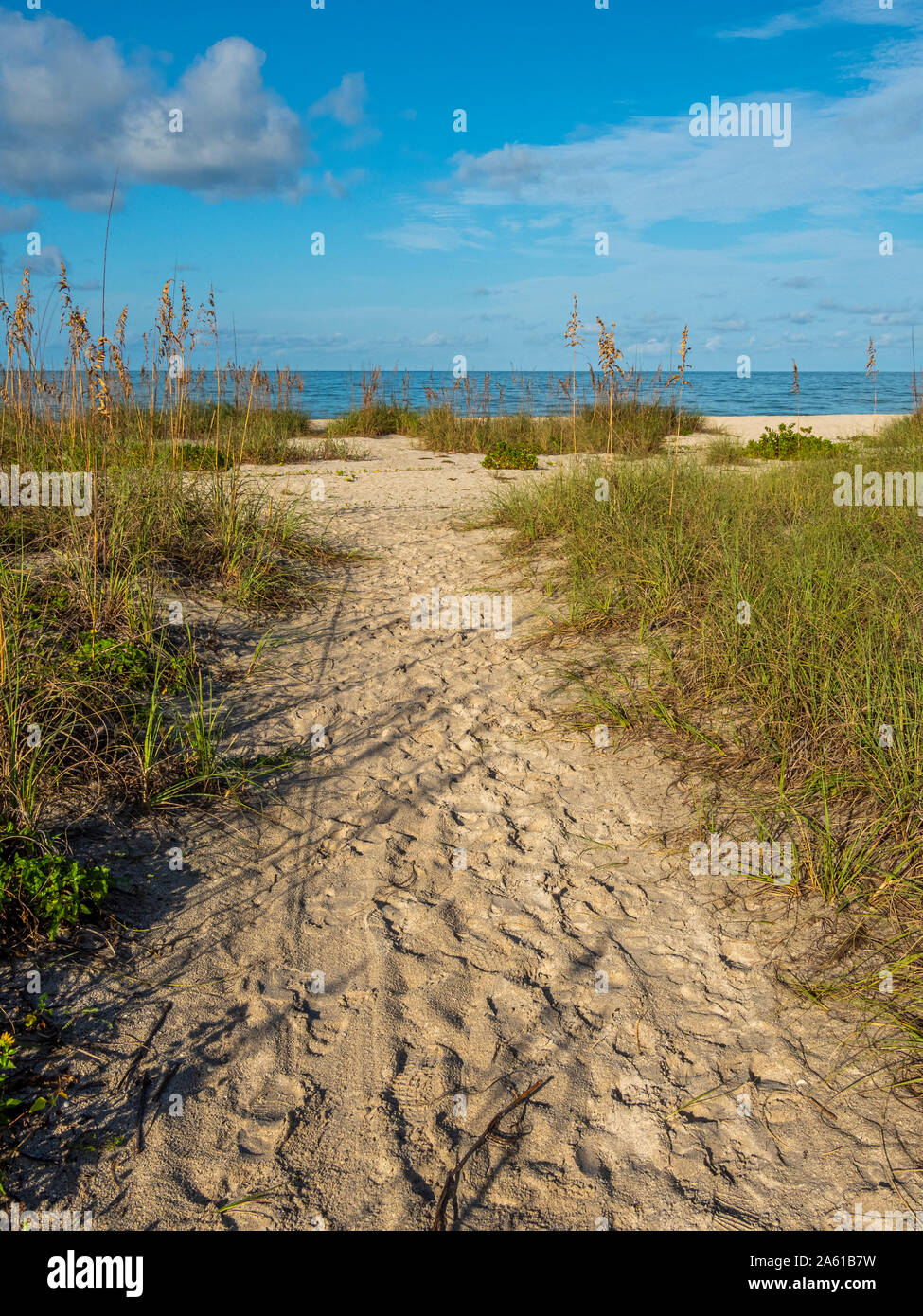 Chemin de sable à Nokomis Beach sur le golfe du Mexique au début de la lumière du matin sur Casey Key in Nokomis Florida aux Etats-Unis Banque D'Images