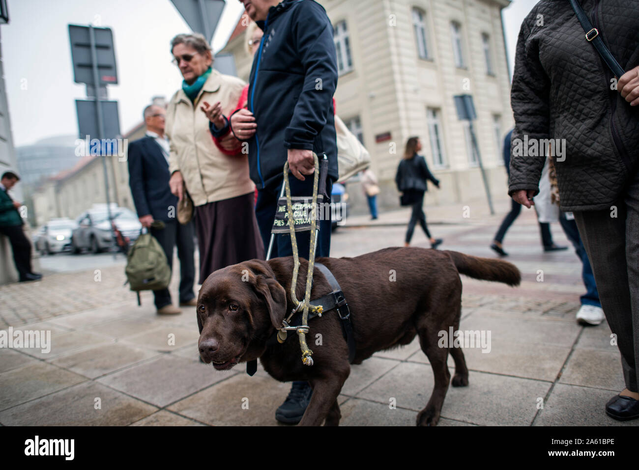 Un chien aide un homme aveugle après la démonstration.à l'occasion de la Journée internationale de la canne blanche (tenue le 15 octobre) des centaines d'aveugles qui ont marché vers le palais présidentiel. De cette façon, les personnes aveugles a voulu rappeler au monde, la société et les médias sur leur existence. Au cours de la manifestation devant le palais présidentiel, les intervenants ont exigé des autorités de l'aide à augmenter la sécurité dans les rues et les transports publics, d'aide pour les soins de santé, plus d'emplois pour les personnes aveugles et malvoyantes. Banque D'Images