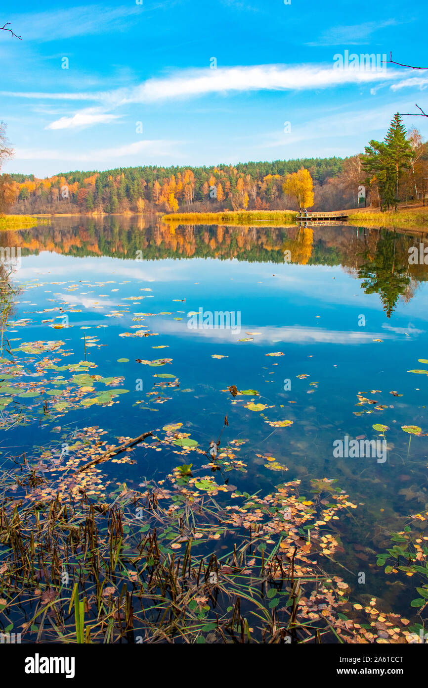 Réflexions d'automne. Beau paysage d'automne avec le lac et l'eau calme, forêt de jaune, orange et vert des arbres, Octobre, Novembre la verticale Banque D'Images