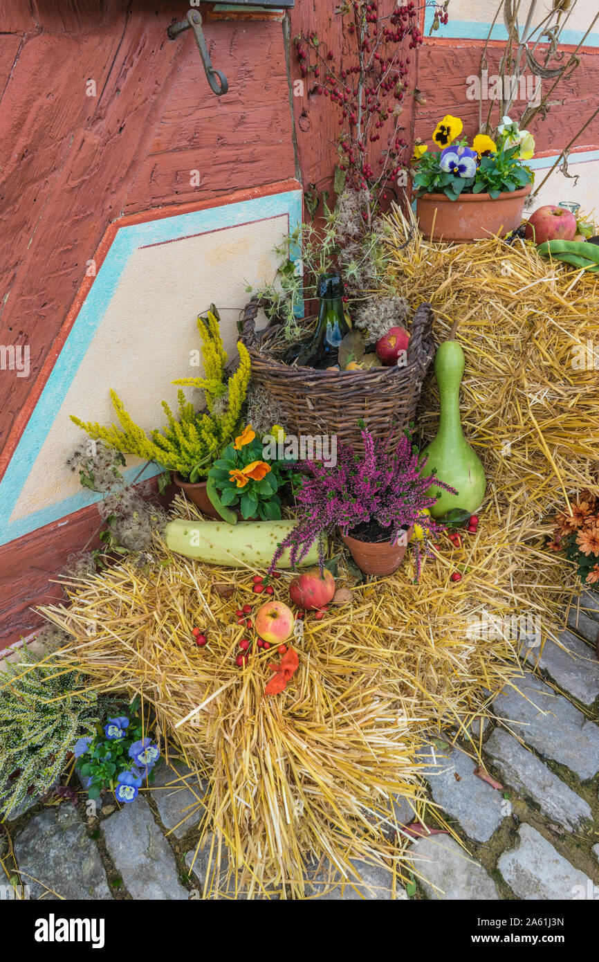 Bad Windsheim, Allemagne - 16 octobre 2019 : vue sur le sol en pierre et décoration d'automne avec des fleurs, les citrouilles et les fruits Banque D'Images
