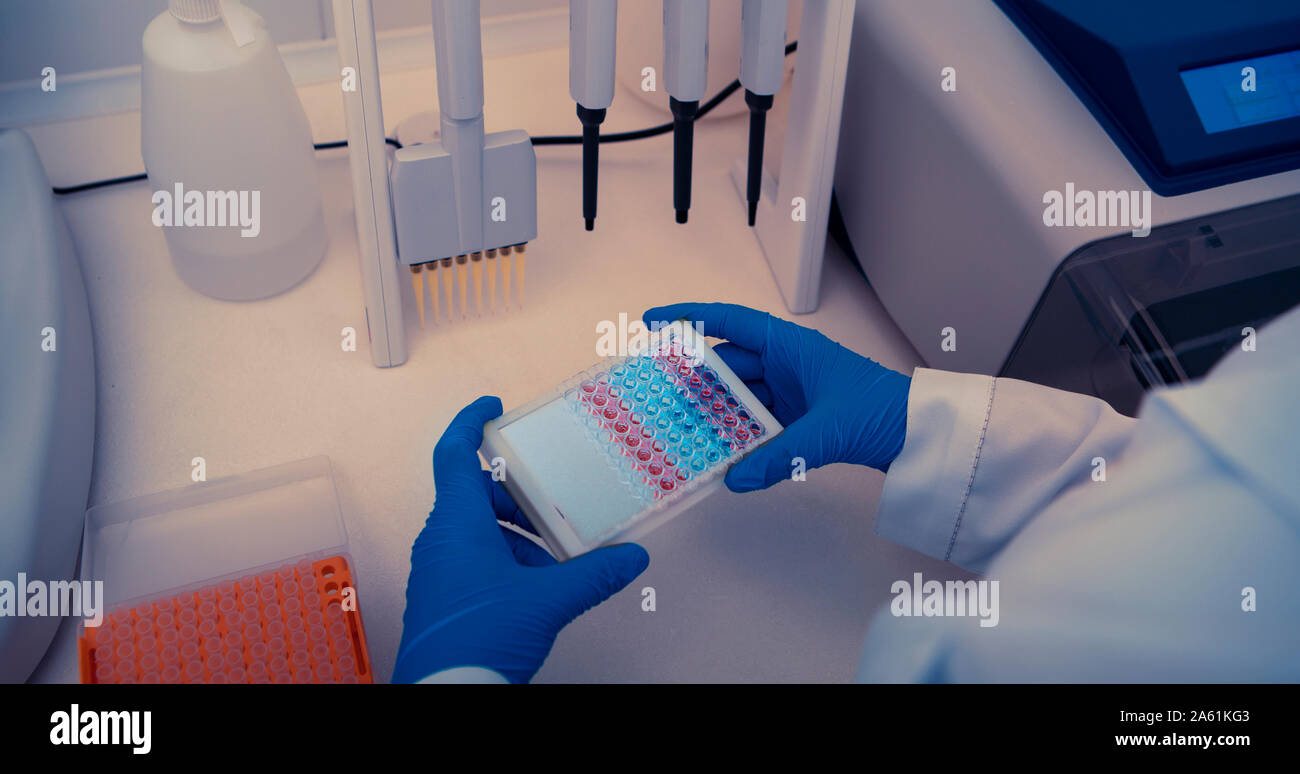 Chercheur scientifique travaille dans un laboratoire moderne avec différents échantillons de couleur Banque D'Images