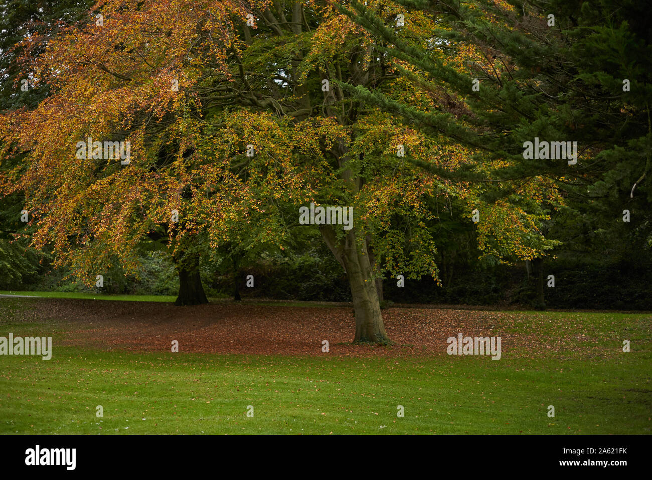Irish National War Memorial Gardens, Kilmainham, Dublin, Irlande. Banque D'Images