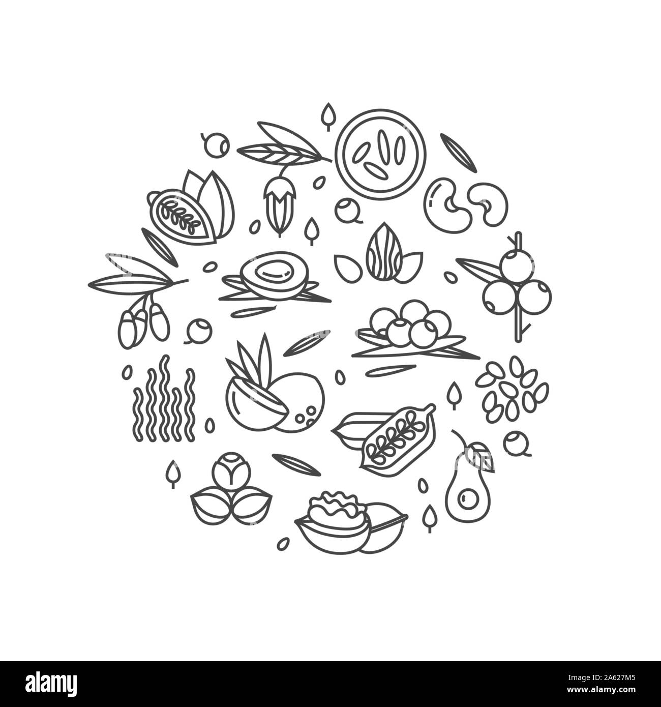 Superfood vector concept. Les petits fruits, noix, légumes fruits et graines. L'air bio pour la santé et l'alimentation. Detox et suppléments de perte de poids. Illustration de Vecteur