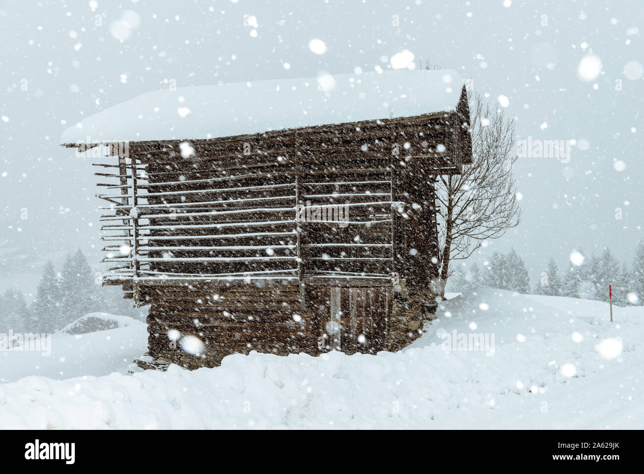 Chalet en bois dans les Alpes autrichiennes, couverte de neige Banque D'Images