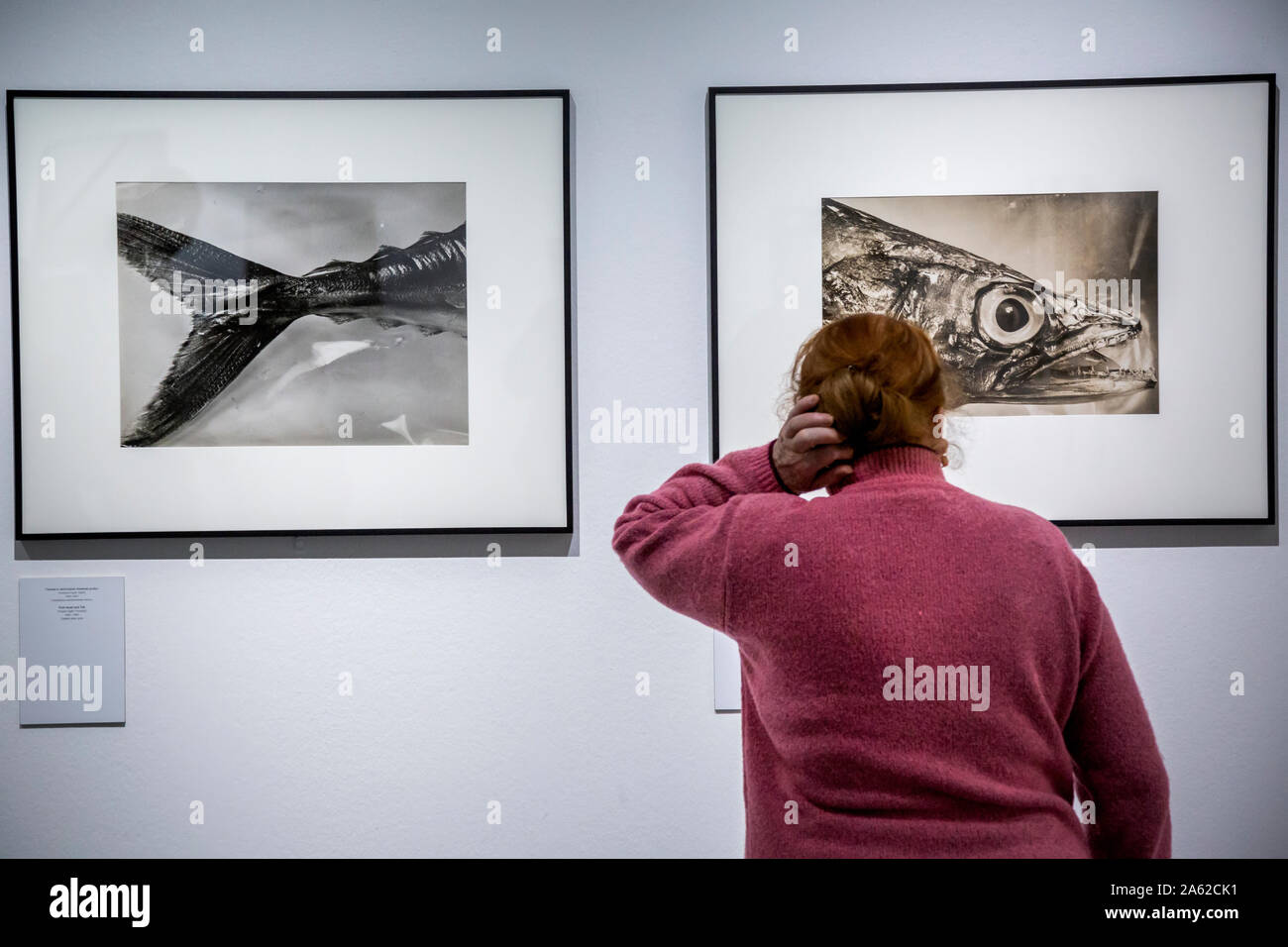 Une femme regarde les œuvres à l'exposition 'La photographie et science" de la photographe Berenice Abbott dans le Multimedia Art Museum de Moscou, Russie Banque D'Images