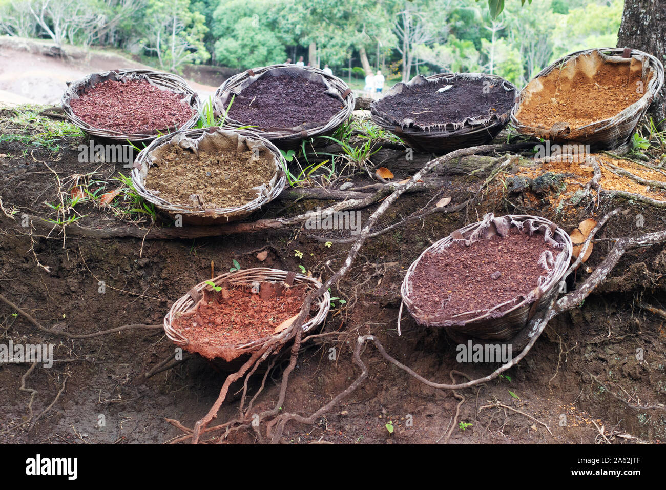 Maurice terres colorées dans des paniers ; les terres de couleur 7 région volcanique, Chamarel, Ile Maurice Banque D'Images