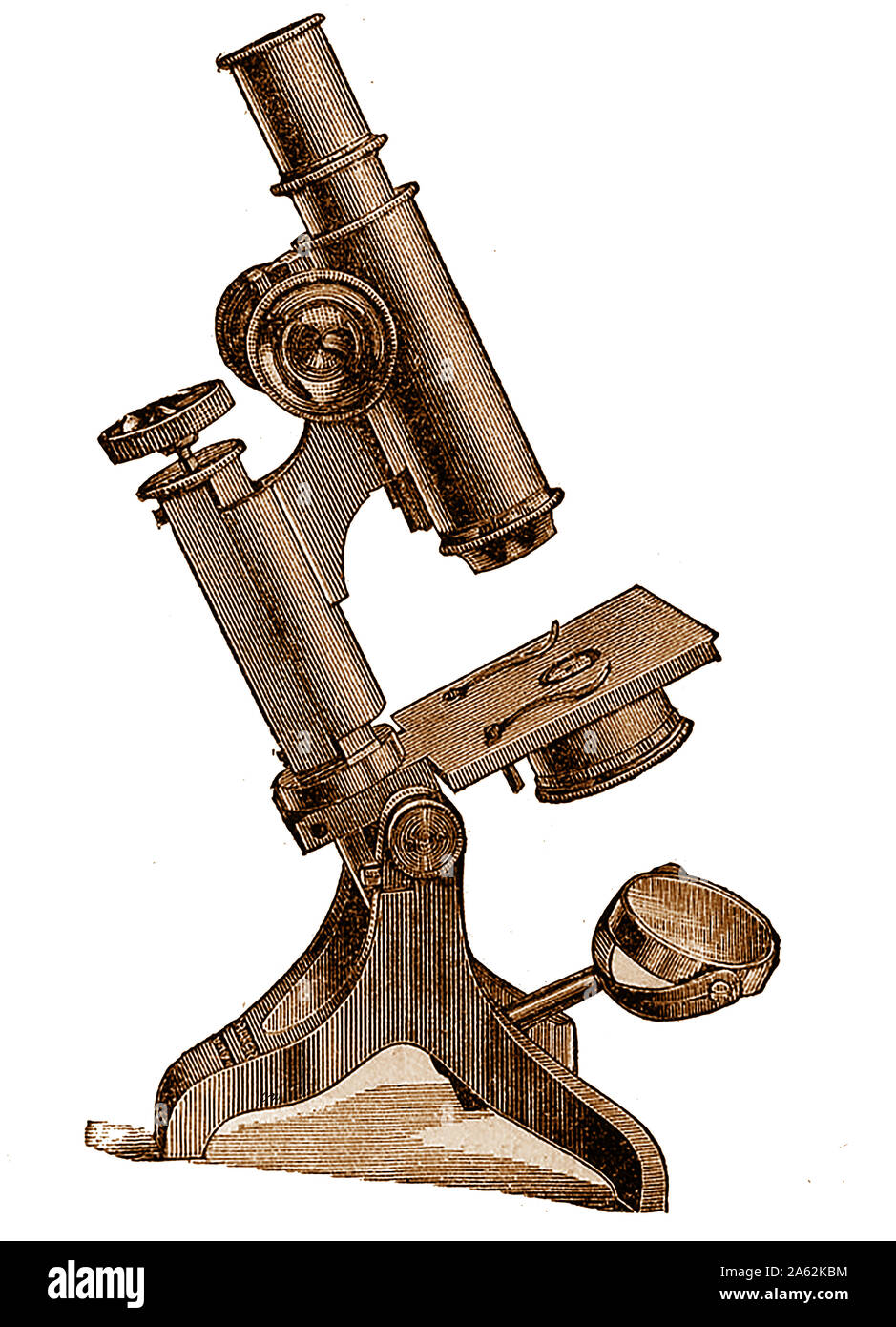19ème siècle matériel Microscope -Modèle du boulanger Microscope histologique Banque D'Images