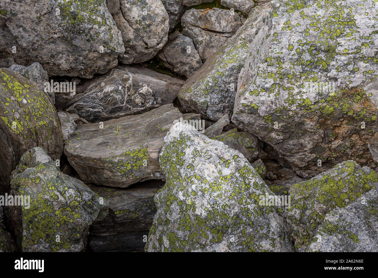 Les formes de la nature étonnante sur les rochers à montagne de Rila en Bulgarie. Belle arrière-plan. Banque D'Images
