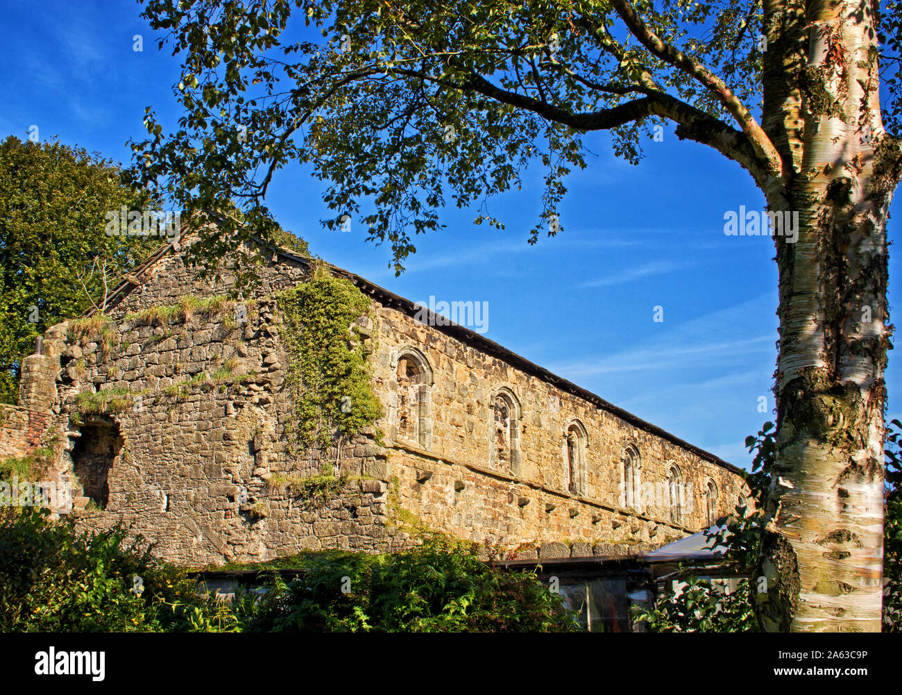 Un tronc d'arbre et branche horizontale frame une dépendance à Whalley Abbey, Lancashire, UK Banque D'Images