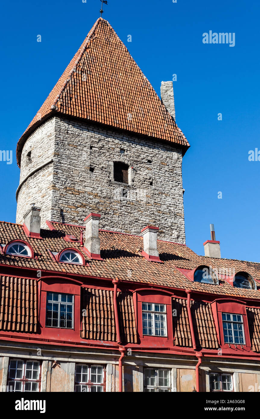 Street dans la vieille ville de Tallinn avec ses maisons colorées et vue sur une des tours de la muraille médiévale entourant la ville Banque D'Images