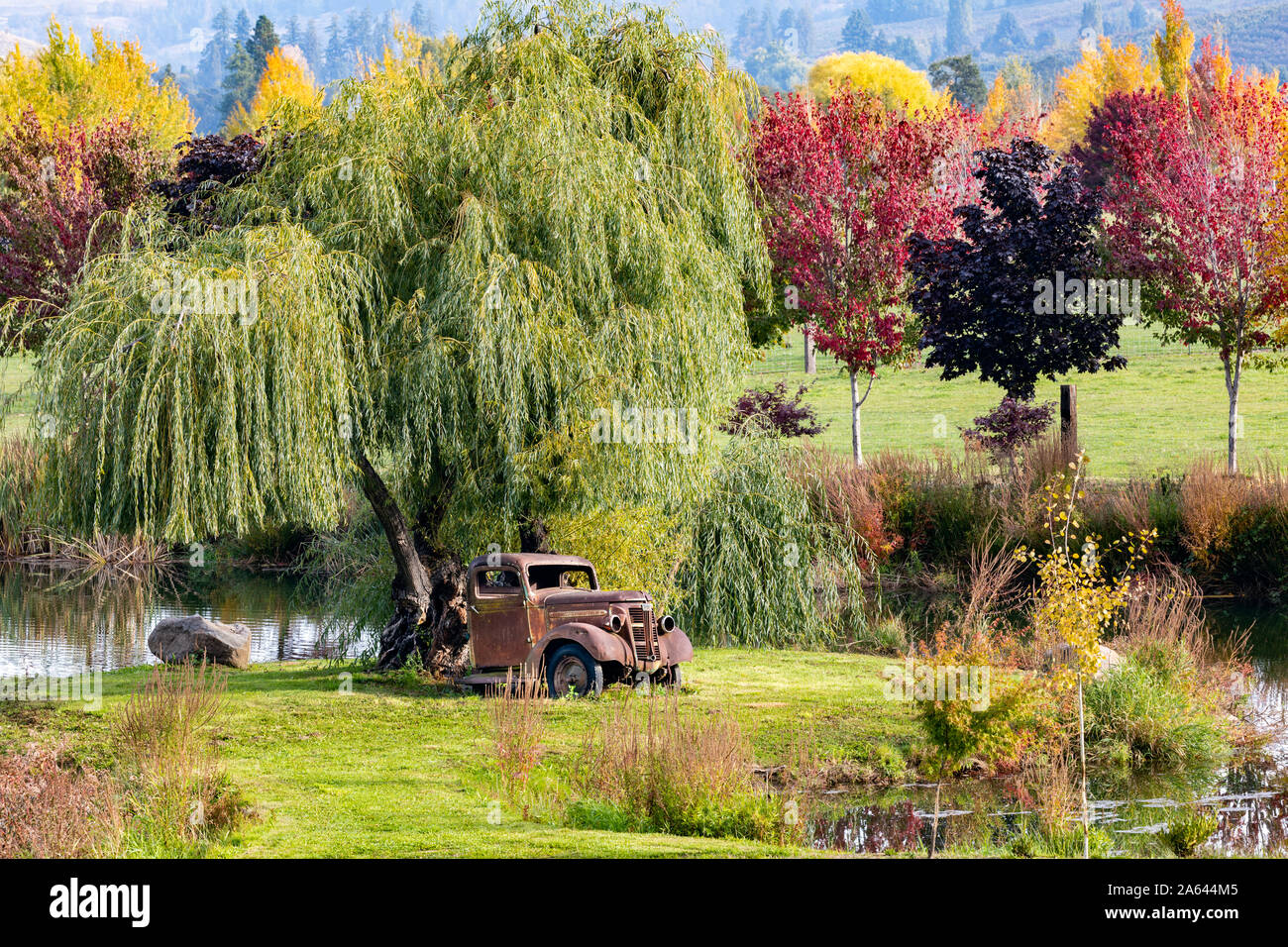 Des camions GMC 1938 rouillé Vintage assis sous un saule pleureur près d'un étang avec des couleurs d'automne et collines en arrière-plan à Hood River, Oregon, USA Banque D'Images