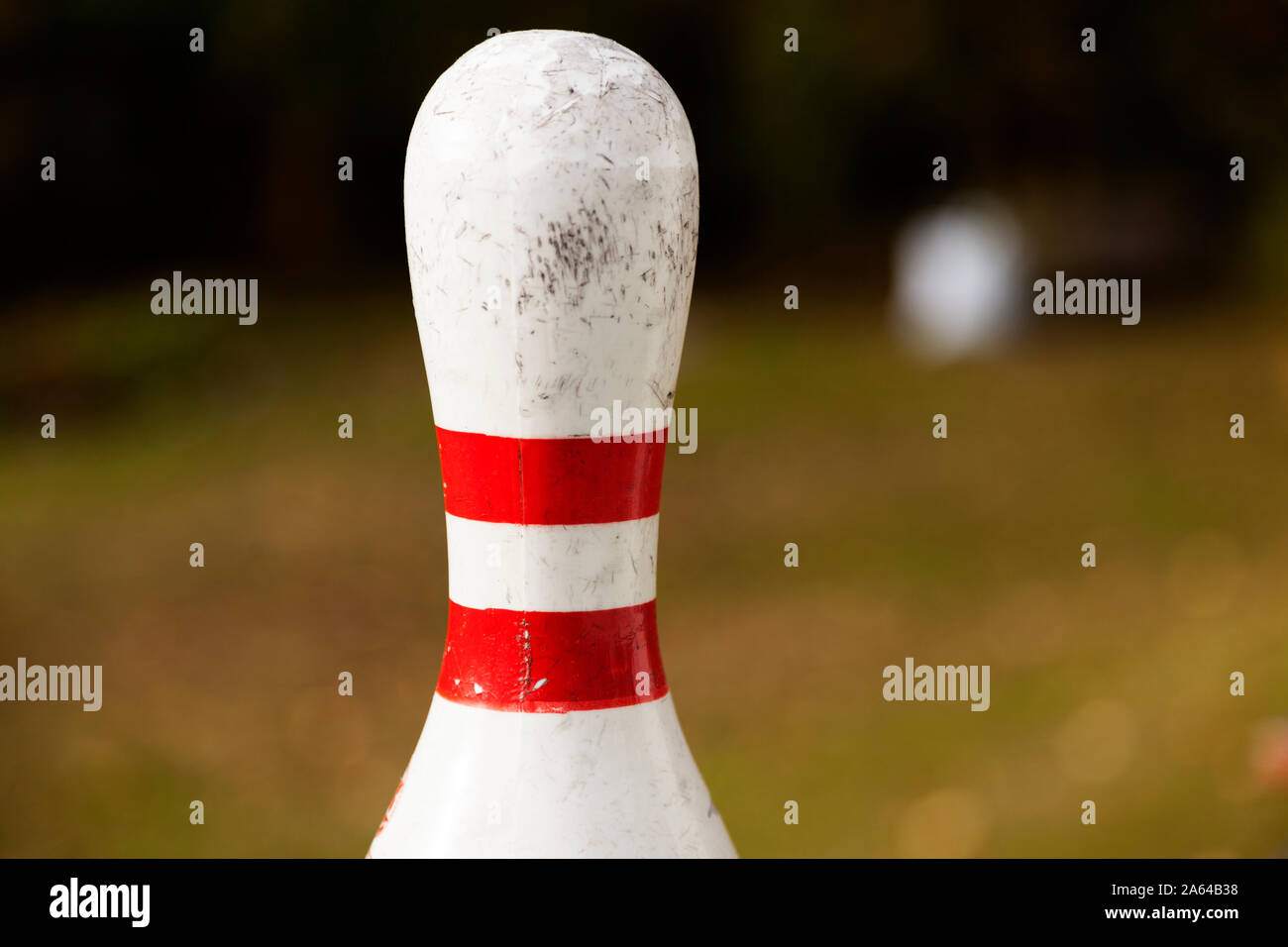 Partie supérieure d'un bowling pin avec fond vert floue Banque D'Images
